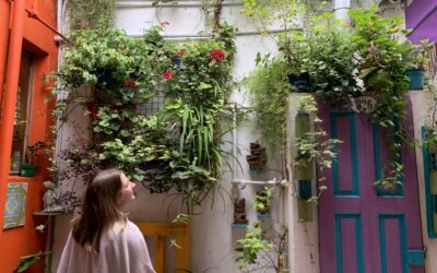 Mental Health Checklist Before Going Abroad