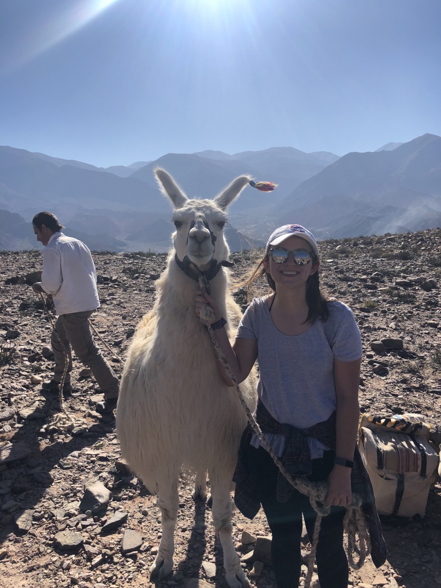 Study abroad student with llama in South America