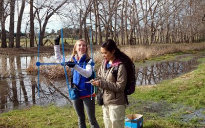  Internship Opportunities for API Students