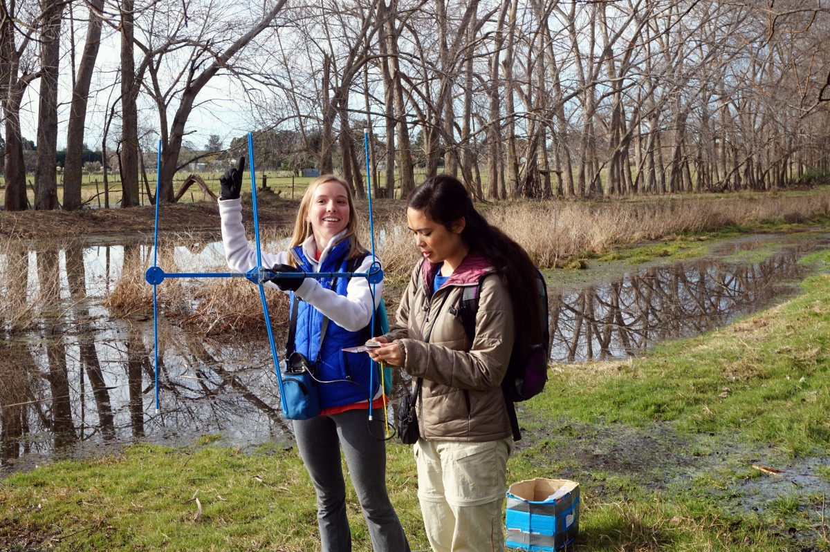 Internship field work