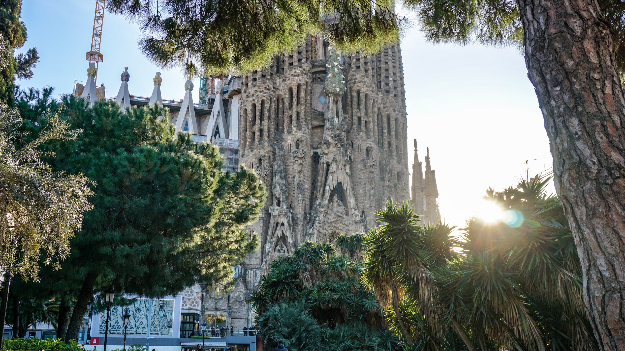 pexels-photo-998736 your questions answered: study abroad in barcelona