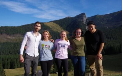 Get Going This Spring: Open API Programs