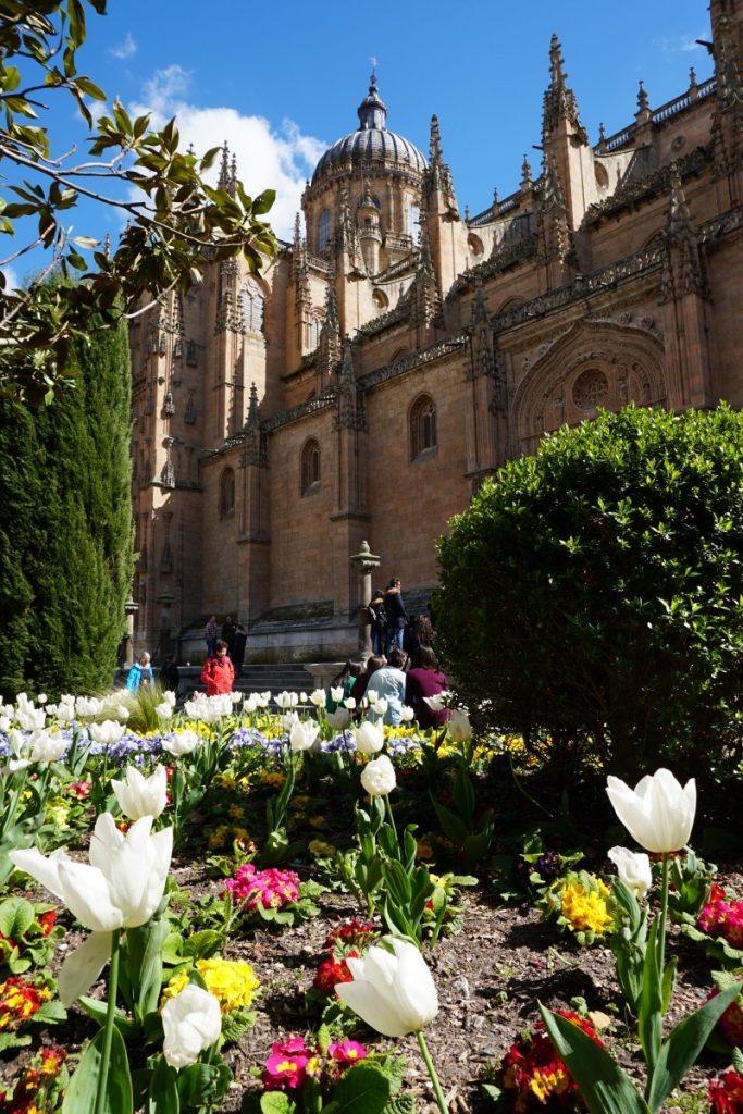 Cathedral in Salamanca Spain, Monica's host city