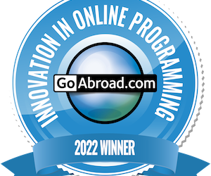 API Wins Innovation in Online Programming