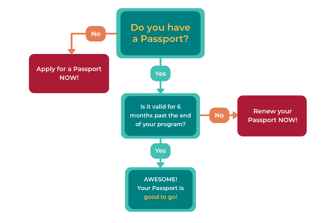 Passport Decision Tree