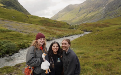 Applying to an API Program: Your Top Questions