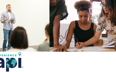 Customized Programming with API: a Faculty Member’s Experience