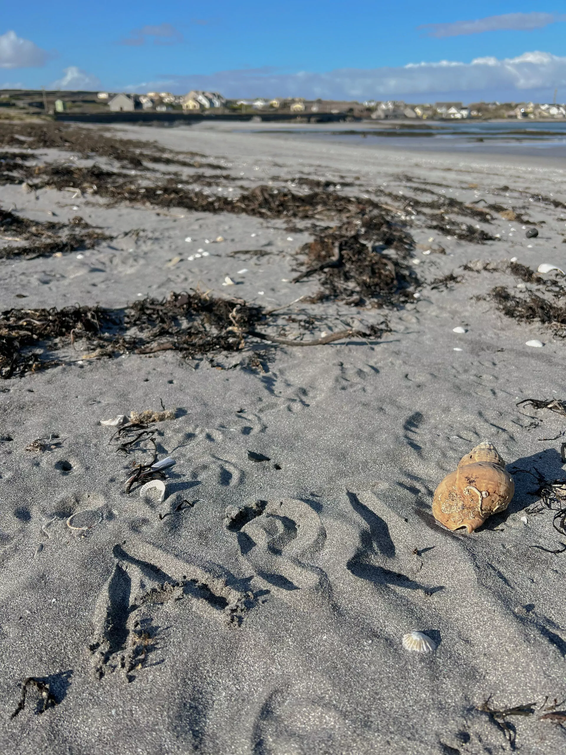 API 2023 photo contest 