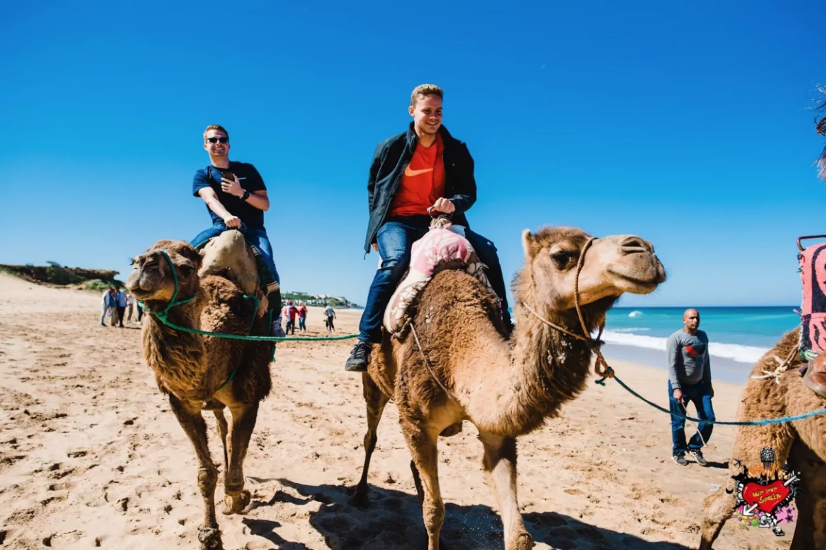 Screen Shot 2019-05-02 at 11.24.22 AM